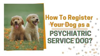 Learn How to Register YOUR Dog as a Psychiatric Service Dog! #servicedog