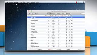 How to view Running Processes in the Activity Monitor on Mac