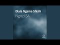 Dlala Ngama Shishi