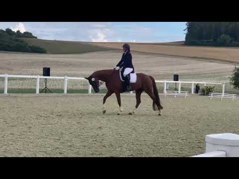 Van den Hoek v. Vilancio