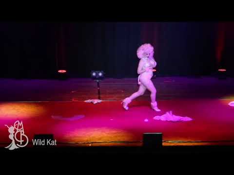 Wild Kat - Unique - Miss Burlesque WA 2020