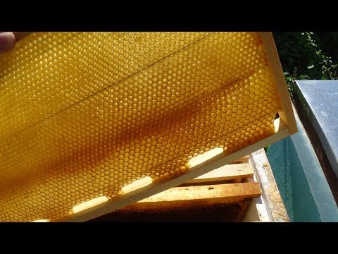 Простой способ хранения суши на пасике