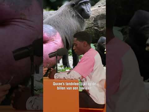 GP uit G gaat echt viraal... 😂