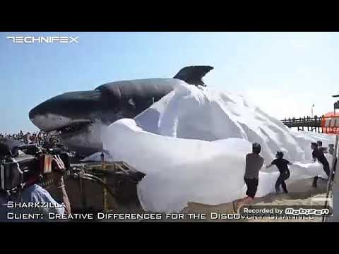 Top 5 Times Megalodon Caught on Camera & Spotted in Real Life