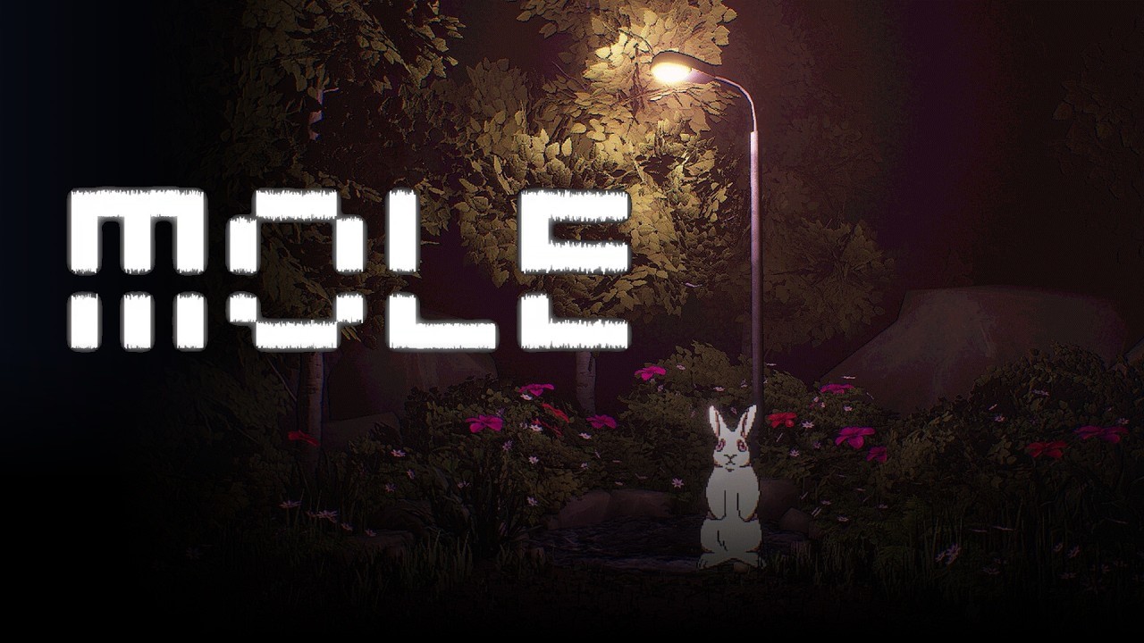 MOLEvideo poster