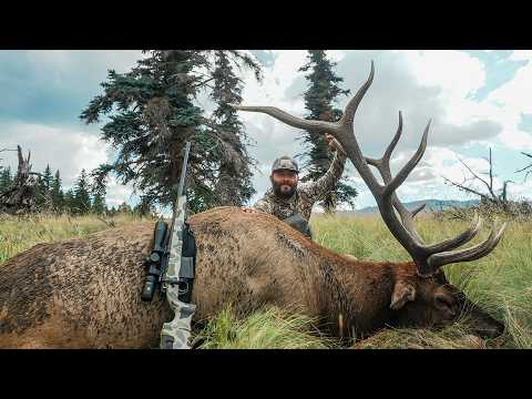 THE GREATEST ELK HUNT OF MY LIFE | HUSH 4K HUNT FILM |