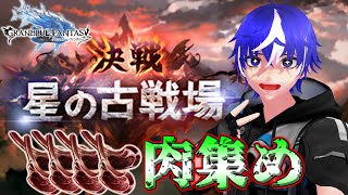 【グラブル】騎空士の祭典古戦場《光》肉集めやっていくぞ！たぶん90HELLも【ラブガメ】2025/4/8