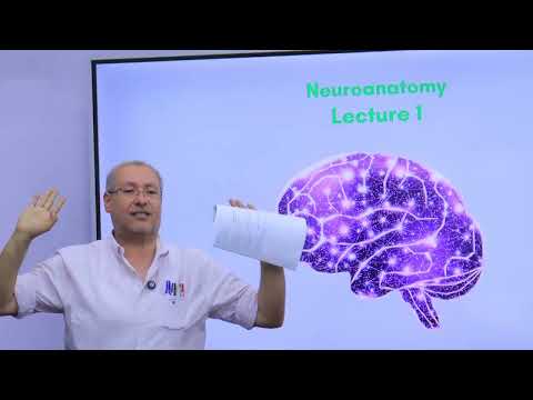 الحصة الأولى أناتومى 205  د/ احمد جلال