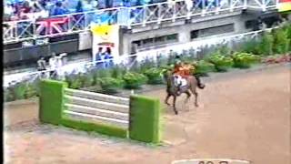 Video of Wippe
