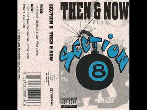Section-8 - Then And Now (1993)