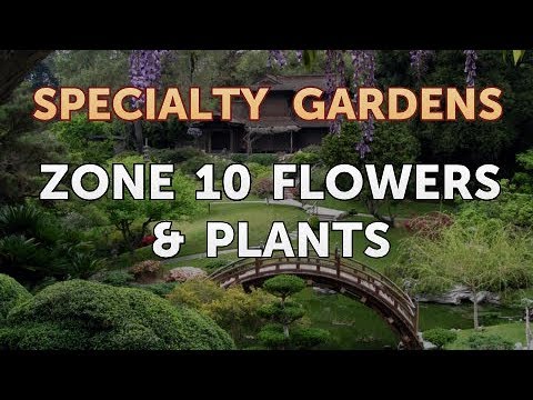 How to Extract Fragrances From Plants