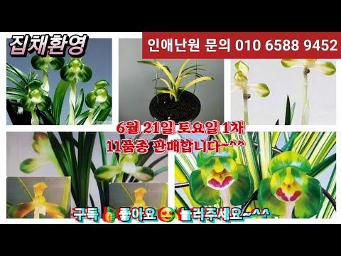 유튜브 썸네일