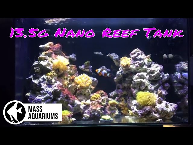 Fluval Evo 13.5 Gallon Nano Reef Tank: Plus A TON of Sponsored Products to Share.