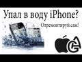 iPhone упал в воду, в экране видна вода, что делать? / Apple Water Damage 