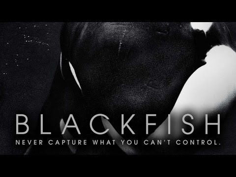 Blackfish // Trailer 2013