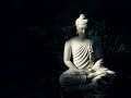 Nhạc Phật hay nhất Tiktok 2021 || Nijamena 1hour  ||  nơi trải lòng || Thiền định