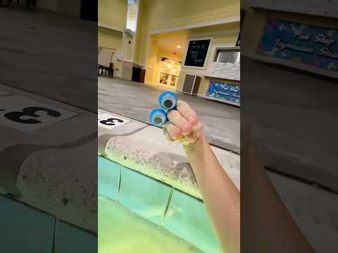 NO RUNNING AT THE POOL!