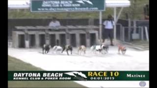 Greyhound | Wins at Daytona