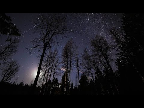 "Nymphes, nappes" ~ Josquin Desprez (c.1450 -1521)