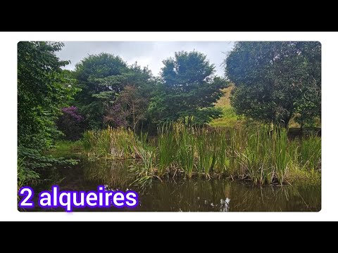 Sítio a venda em Piedade de Caratinga.