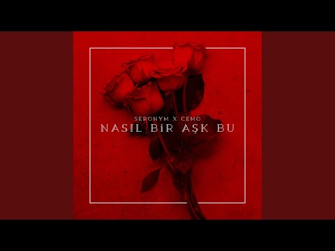 Nasıl bir aşk bu