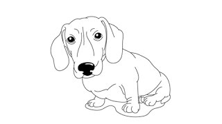 How to draw a Daschund - Easy step-by-step drawing lessons for kids
