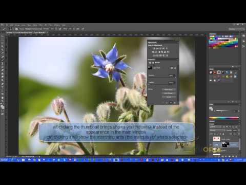 Photoshop Tutorials | Adobe Photoshop Tutorials Introduction