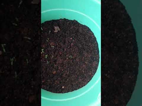 suklambaradaram song