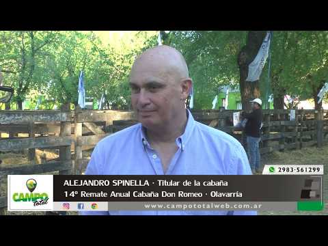 Alejandro Spinella - Tilular Cabaña Don Romeo