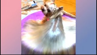 Oddly Satisfying Return Video,Relax With Original Sound Compilation Music Happy Life🤩Enjoy The Video