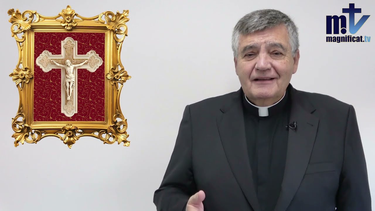 ¿Confusión de Autoridad Doctrinal? | Rebelión en el Sínodo | Fe y Tradición Apostólica Católica