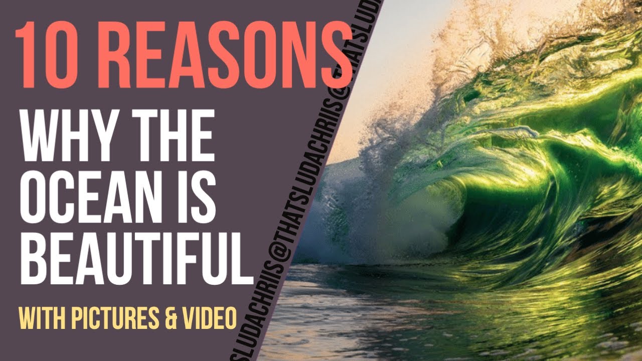 10 Most Beautiful Ocean Images That Have Won Awards