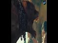 Ghostly Tribe Movie Clips