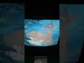 Closing To Bambi 1989 VHS