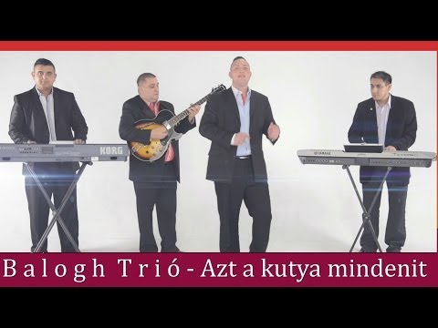 Balogh Trió-Dani-Azt a kutya mindenit Official ZGSTUDIO video
