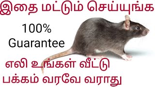Full stop for Rats in 30 mins | How to get rid of Rats