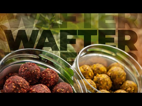 KARPFENANGELN MIT WAFTER: Natürlich, effektiv und erfolgreich!