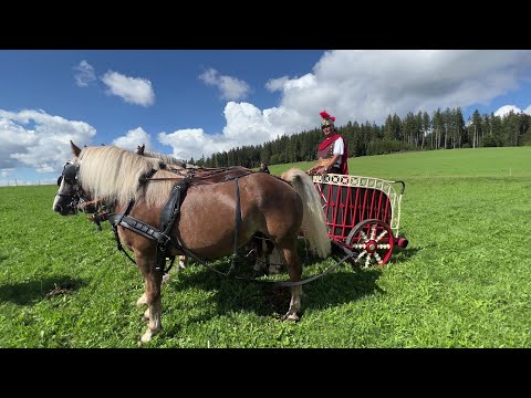 Rossfest St. Märgen 2022