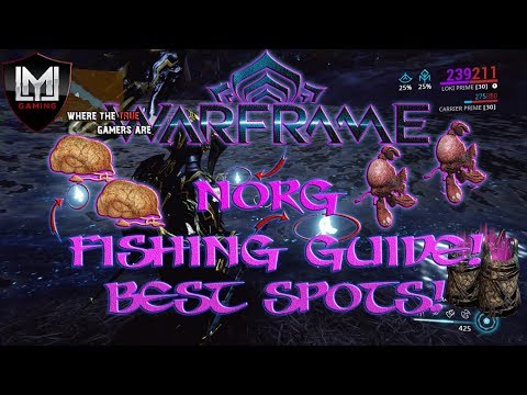 WARFRAME: NORG FISHING GUIDE!! BEST SPOTS, BAIT & MORE!!