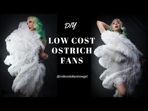 DIY Low cost  ostrich fan tutorial