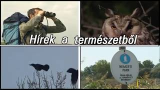 TERMÉSZET HÍREI