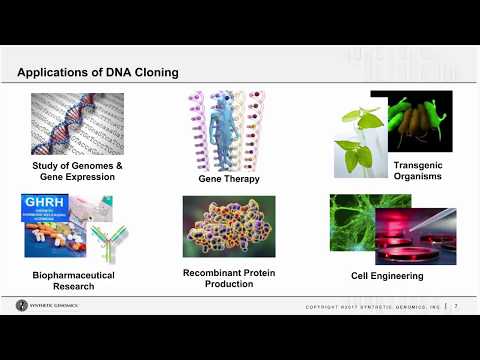 Accelerate your Research with Synthetic DNA and Hands-free Cloning