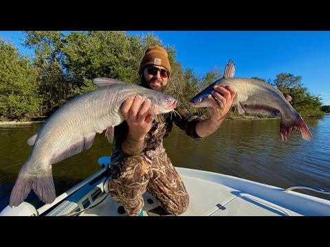 How to: Juglining Catfish - HOOK, CLEAN & COOK How to: Juglining Catfish - HOOK, CLEAN & COOK