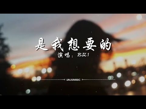 BZ1-是我想要的〖这是我想要的自由，不顺从人潮的汹涌，想要飞就顶着风〗【动态歌词】