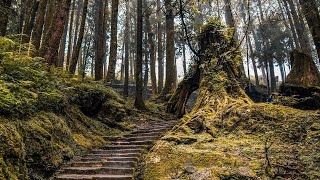 Same Old Road - Ten Towers feat. Judith Rindeskog I Acoustic Song