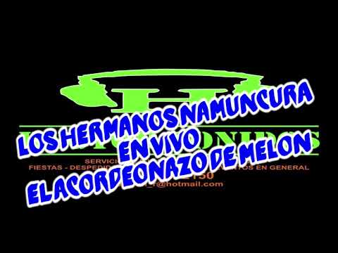 LOS HERMANOS NAMUNCURA   HECTORSONIDOS ELACORDEONAZODEMELON 3  2024