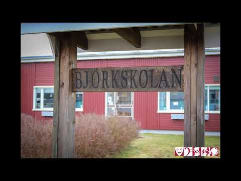 Björkskolan - Monster
