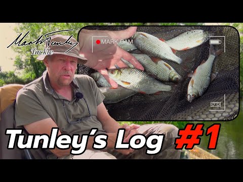 Tunley's Log | No.1 | Roach Fishing