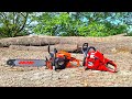 Echo CS 4310SX Versus Shindaiwa 452s Stock MS 461 Bonus Cut