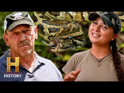 New Generation of DEADLY Pythons | Swamp People: Serpent Invasion (Season 5) | History